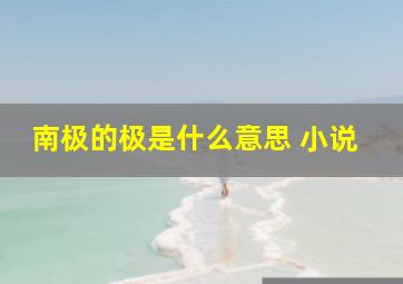 南极的极是什么意思 小说